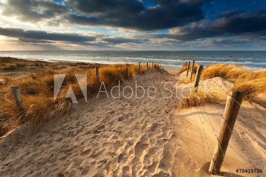 Picture of sand path to North sea beach